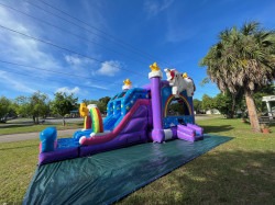 9F7DF503 626F 4EFA A513 8E4A64A349DC 1750616794 Unicorn Splash Combo (Wet/Dry)