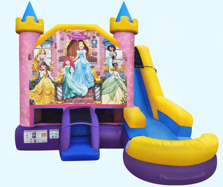 Disney Princess 6 in 1 Combo Wet or Dry