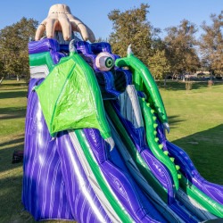 IMG 4359 1753761634 25 FT MONSTER DRAGON SLIDE