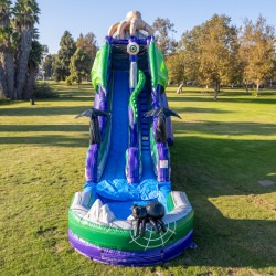 IMG 4361 1753761634 25 FT MONSTER DRAGON SLIDE