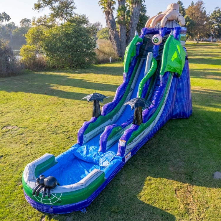 25 FT MONSTER DRAGON SLIDE